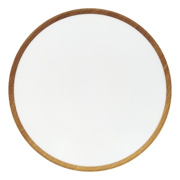 LED-Deckenleuchte LED/40W/230V 3000/4000/6500K Ø 50 cm beige