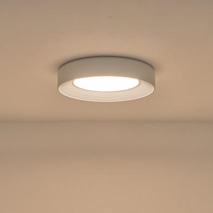 LED-Deckenleuchte LED/40W/230V 3000K weiß