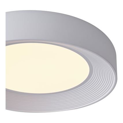 LED-Deckenleuchte LED/40W/230V 3000K weiß
