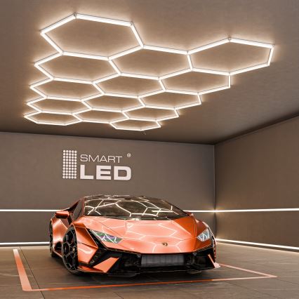 LED-Deckenleuchte HEXAGON LED/456W/85-265V 4000K 522x298 cm CRI 90 IP54 weiß