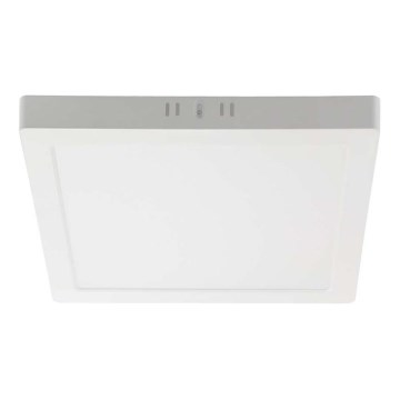 LED-Deckenleuchte LED/6W/230V 3000K 12x12 cm weiß