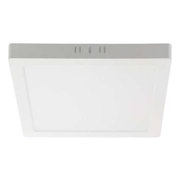 LED-Deckenleuchte LED/6W/230V 4000K 12x12 cm weiß