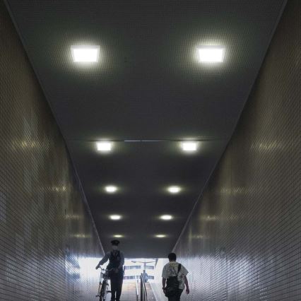 LED-Deckenleuchte LED/6W/230V 6500K 12x12 cm weiß