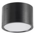 LED-Deckenleuchte MIRELLA 1xGX53/6W/230V schwarz