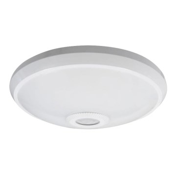 LED-Deckenleuchte mit Bewegungs- und Dämmerungssensor LED/12W/230V