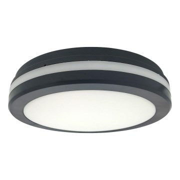 LED-Deckenleuchte mit Bewegungsmelder, 20 W, 230 V, 3000/4000/6500 K, Ø 230 cm, IP54, anthrazit