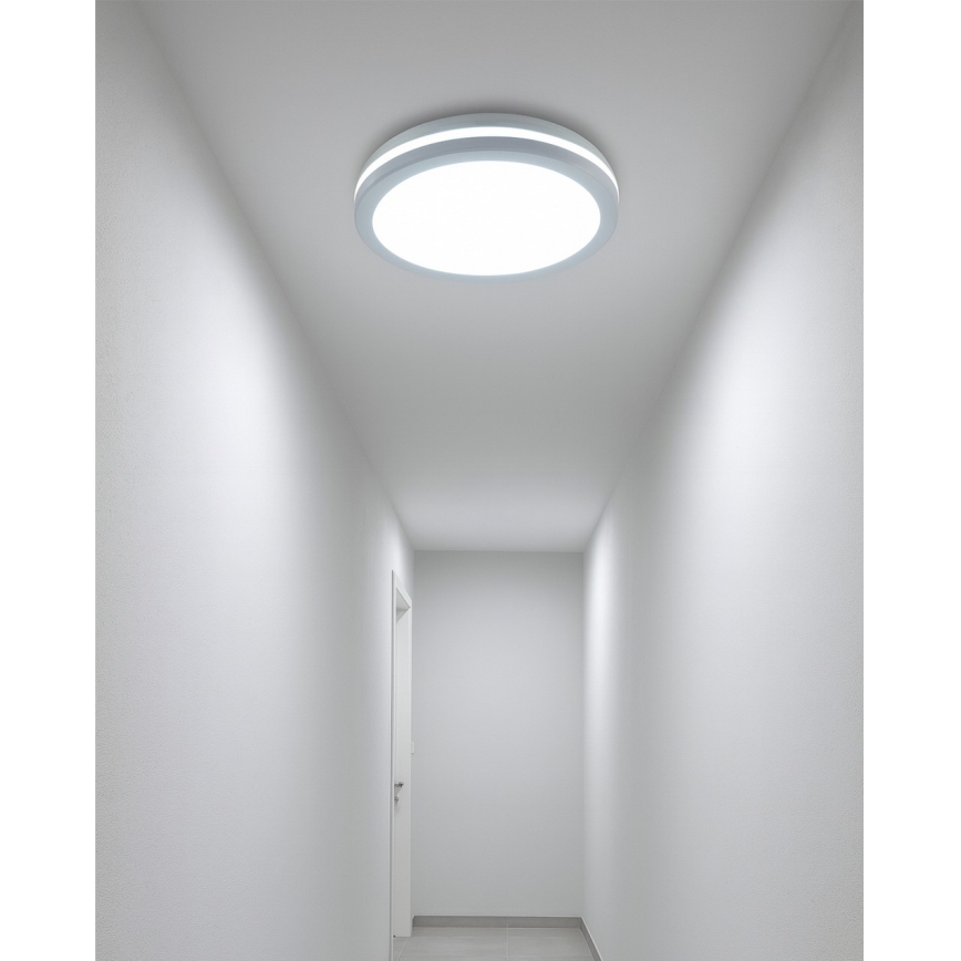LED-Badezimmer-Deckenleuchte mit Bewegungsmelder LED/20W/230V 3000/4000/6500K Ø 23 cm IP54 weiß