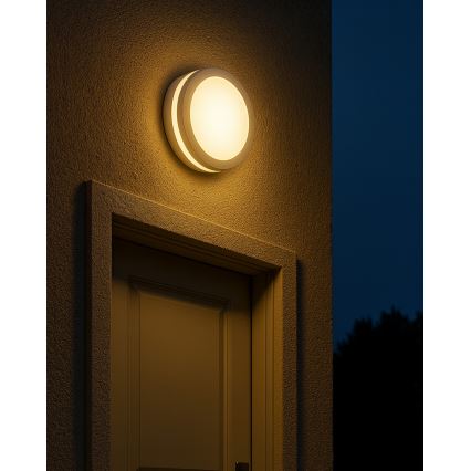LED-Badezimmer-Deckenleuchte mit Bewegungsmelder LED/20W/230V 3000/4000/6500K Ø 23 cm IP54 weiß