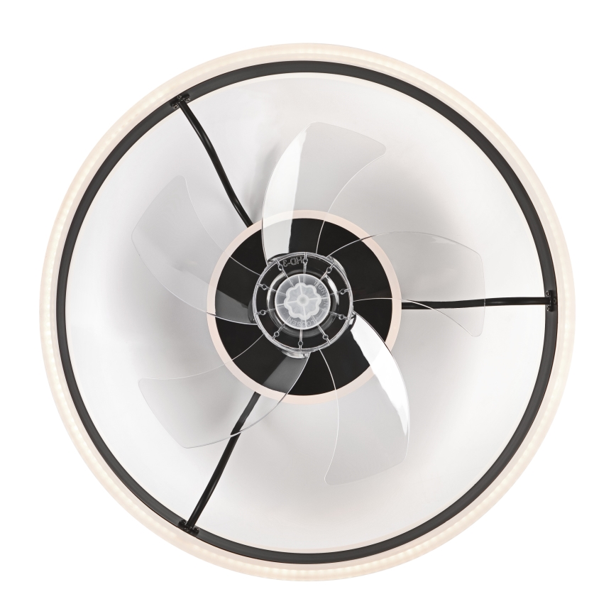 LED Dimmbares Deckenleuchte mit Ventilator APOLLO LED/38W/230V Schwarz + Fernbedienung