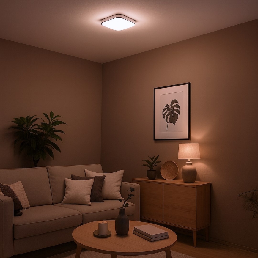 LED Deckenleuchte NEMO LED/11W/230V 26x26 cm glänzender Chrom