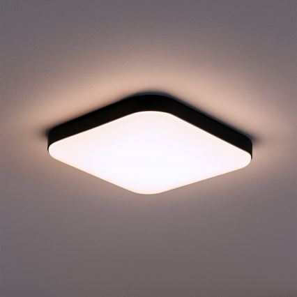 LED-Deckenleuchte NEMO LED/11W/230V 26x26 cm schwarz