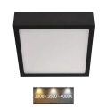LED-Deckenleuchte NEXXO LED/12,5W/230V 3000/3500/4000K 17x17 cm schwarz