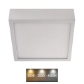LED-Deckenleuchte NEXXO LED/12,5W/230V 3000/3500/4000K 17x17 cm weiß