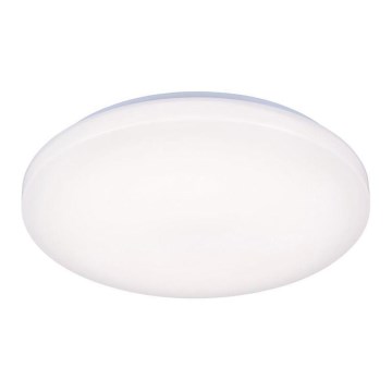 LED-Deckenleuchte OPAL LED/50W/176-264V