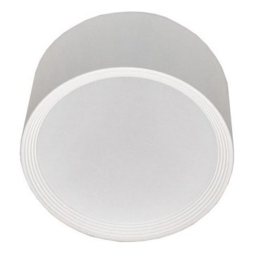 LED-Deckenleuchte PERCI LED/30W/230V IP40 4000K weiß