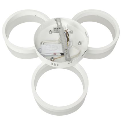 LED Deckenleuchte RING 3xLED/12W/230V weiß