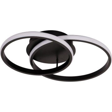 LED Deckenleuchte TITANO LED/12W/230V schwarz