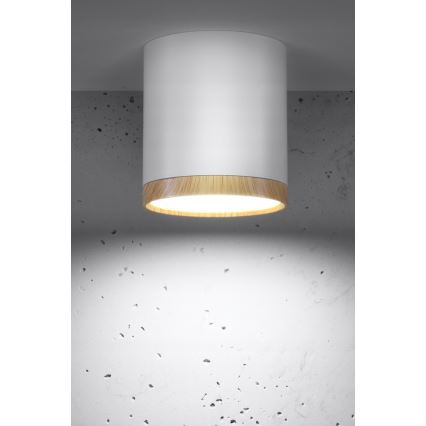 LED Deckenleuchte TUBA LED/5W/230V weiß/beige