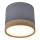 LED Deckenleuchte TUBA LED/9W/230V