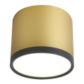 LED Deckenleuchte TUBA LED/9W/230V