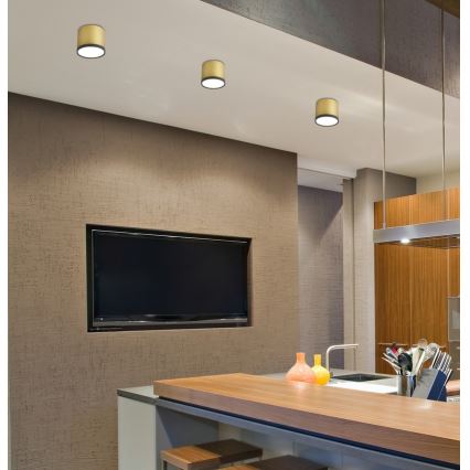 LED Deckenleuchte TUBA LED/9W/230V