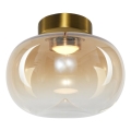 LED-Deckenleuchte VASO LED/4W/230V d 18 cm golden/rauchig