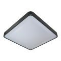 LED-Deckenleuchte WILTON LED/24W/230V 37,5x37,5 cm anthrazit