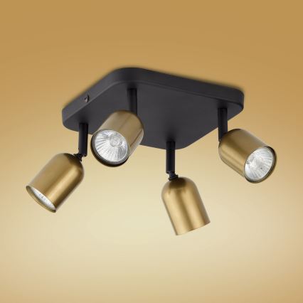 LED-Deckenspot TOP 4xGU10/10W/230V gold/schwarz