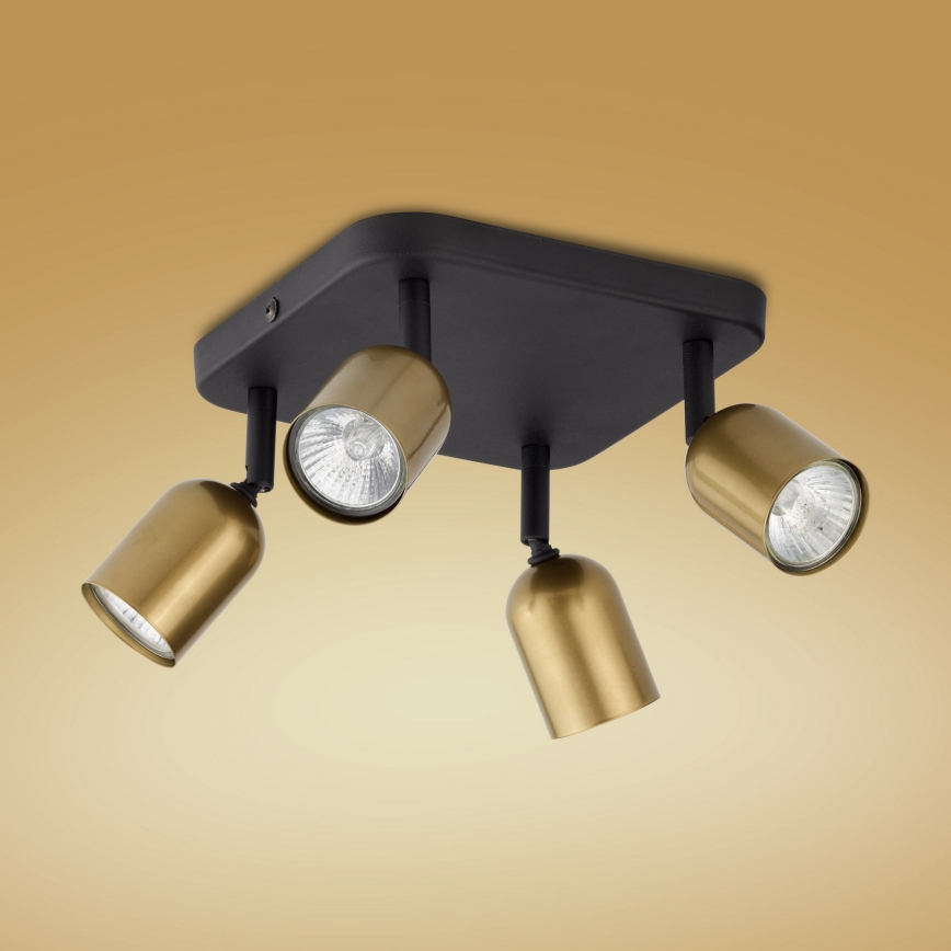 LED-Deckenspot TOP 4xGU10/10W/230V gold/schwarz