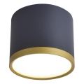 LED-Deckenspot TUBA LED/9W/230V schwarz/gold
