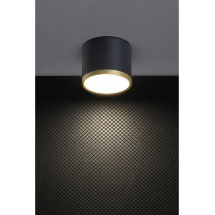 LED-Deckenspot TUBA LED/9W/230V schwarz/gold