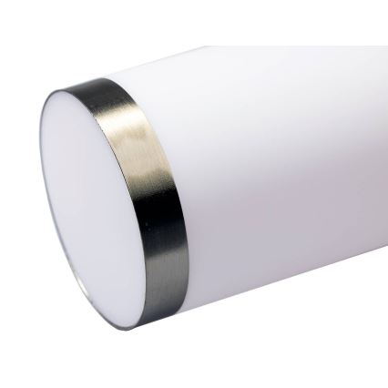 LED-dimmbare Außenwandleuchte LIVIA 1xE27/6W/230V 2700-6500K Wi-Fi IP44 silber