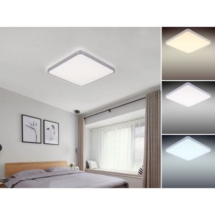 Nedes LC801A/SI/S - LED dimmbare Deckenbeleuchtung LED/50W/230V