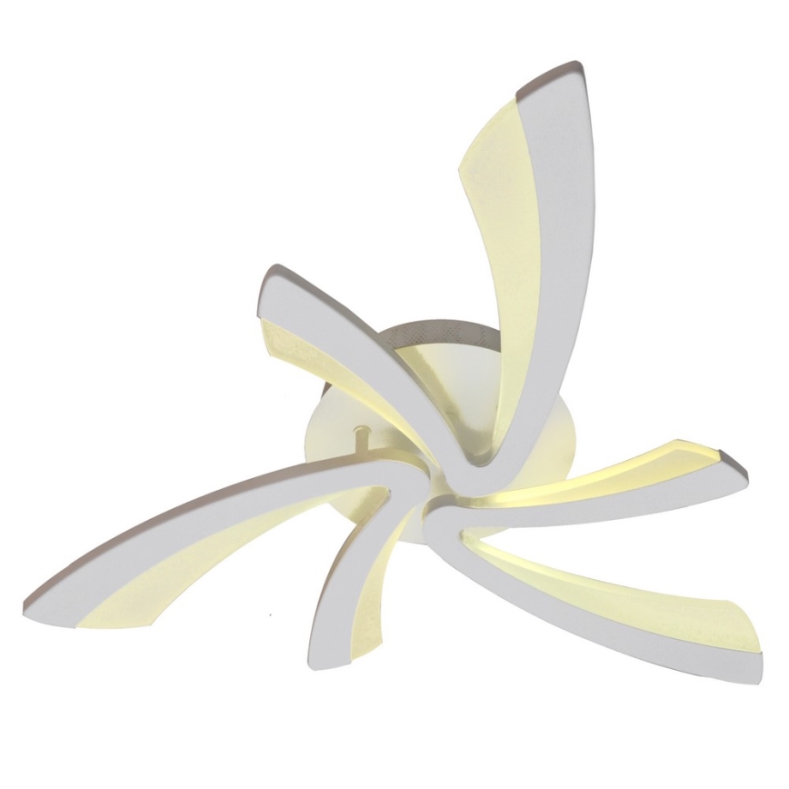 LED Dimmbare Deckenleuchte FLORANCE 2xLED/30W/230V