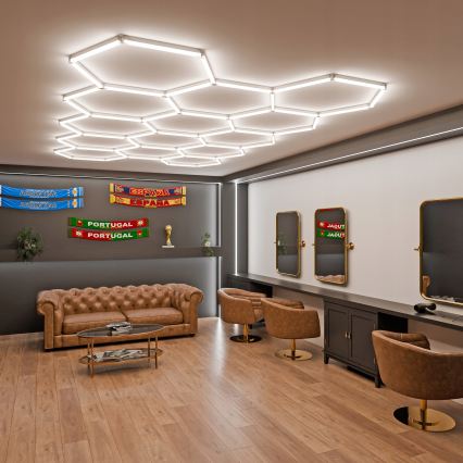LED-dimmbare Deckenleuchte HEXAGON LED/456W/85-265V 5000K 234x420 cm CRI 90 IP54 weiß