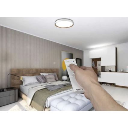 LED-dimmbare Deckenleuchte ILVI LED/45W/230V 2700-6500K Ø 50 cm weiß/beige + Fernbedienung