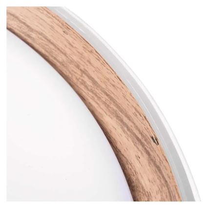 LED-dimmbare Deckenleuchte ILVI LED/45W/230V 2700-6500K Ø 50 cm weiß/beige + Fernbedienung