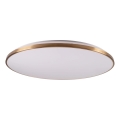 LED-dimmbare Deckenleuchte KERN LED/80W/230V 3000/4000/6000K Ø 80 cm goldfarben + Fernbedienung