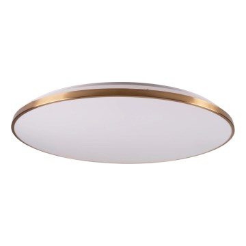 LED-dimmbare Deckenleuchte KERN LED/80W/230V 3000/4000/6000K Ø 80 cm goldfarben + Fernbedienung