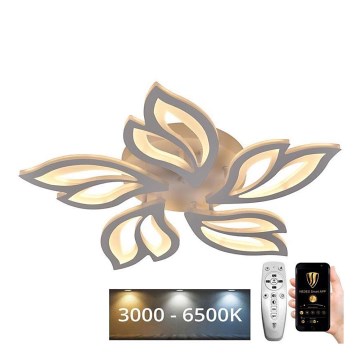 LED dimmbare Deckenleuchte LED/65W/230V 3000-6500K + Fernbedienung