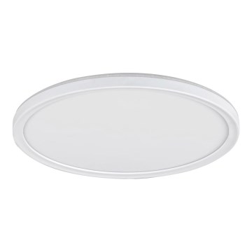 LED Dimmbare Deckenleuchte PAVEL LED/22W/230V