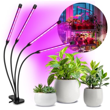 LED dimmbare flexible Tischlampe mit Clip zur Pflanzenzucht VITARO 4xLED/10W/230V schwarz