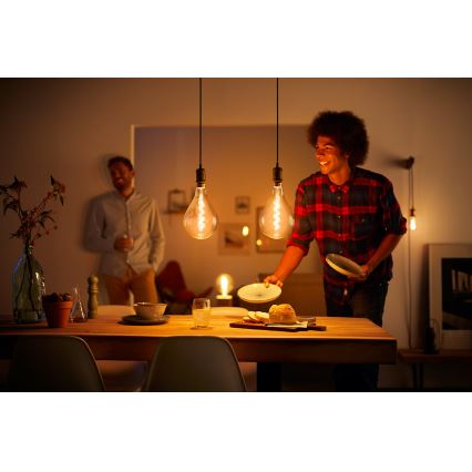 LED dimmbare Glühbirne VINTAGE Philips E27/7W/230V 2000K