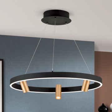 LED dimmbare Hängeleuchte an Kabel BERLIN LED/50W/230V schwarz/gold