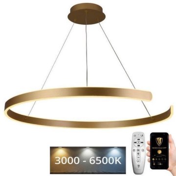 LED dimmbare Hängeleuchte an Kabel LED/100W/230V 3000-6500K Ø 80 cm + Fernbedienung