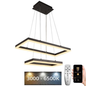 LED dimmbare Hängeleuchte an Kabel LED/65W/230V 3000-6500K + Fernbedienung