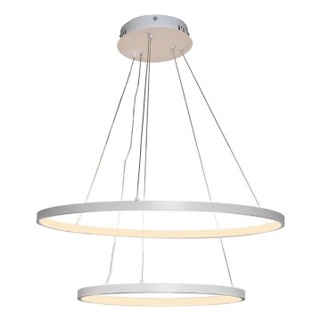 LED dimmbare Hängeleuchte an Kabel LED/75W/230V 3000-6500K Ø 60 cm + Fernbedienung