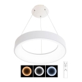 LED dimmbare Hängeleuchte an Kabel NEST LED/40W/230V 3000-6500K Weiß + Fernbedienung