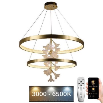 LED dimmbare Hängeleuchte an Seil LED/100W/230V 3000-6500K + Fernbedienung