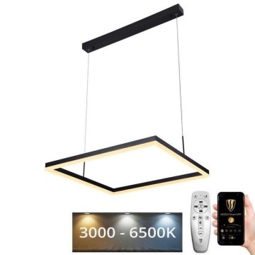 LED dimmbare Hängeleuchte an Seil LED/55W/230V 3000-6500K + Fernbedienung